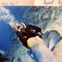 Scuba Diving Great Barrier Reef